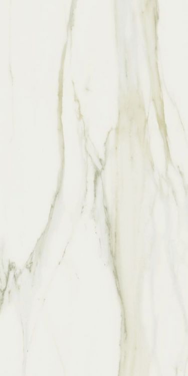Classici Calacatta Gold Matte 24 x 48 Classici Calacatta Gold Matte 24 x 48